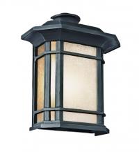  5821-1 BK - San Miguel, Tea Stain Glass, Outdoor Pocket Lantern Wall Light